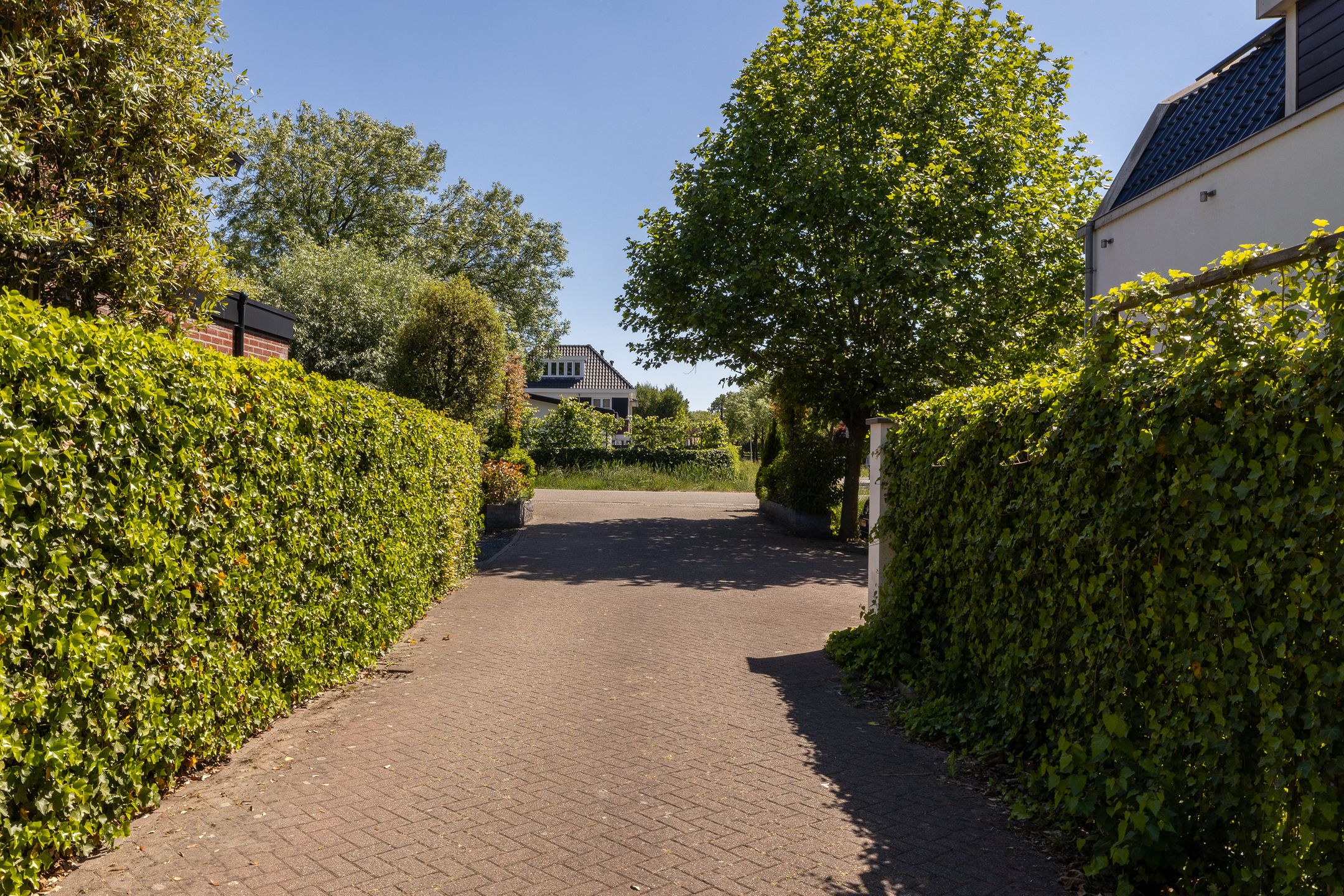 Foto 45 van Kralingseweg 264-C