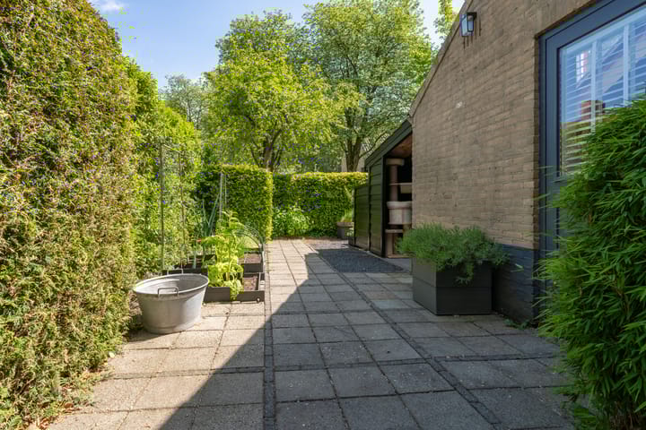 Foto 5 van Evenaar 5