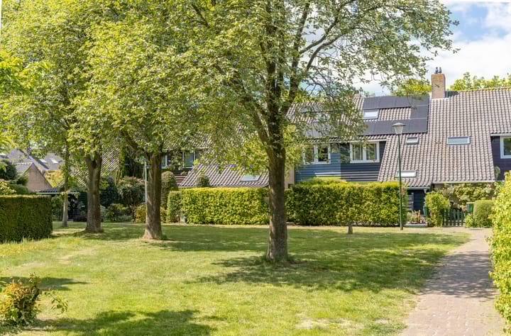 Photo 51 of Evenaar 5