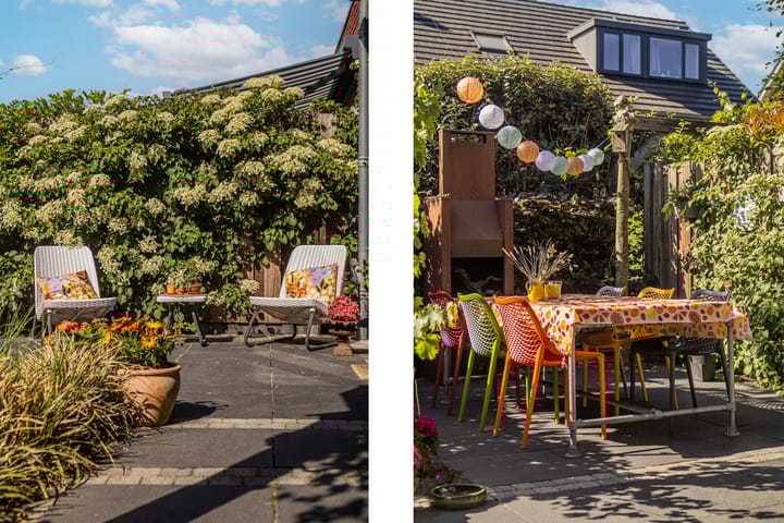 Foto 36 van Boomklever 22