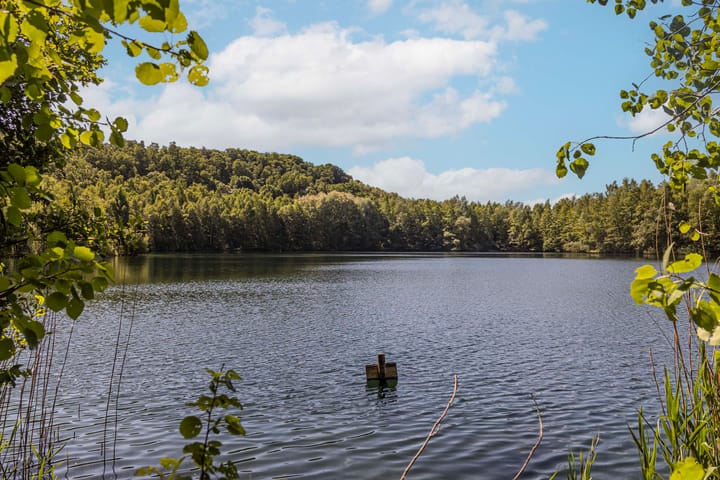 Foto 45 van Boomklever 22