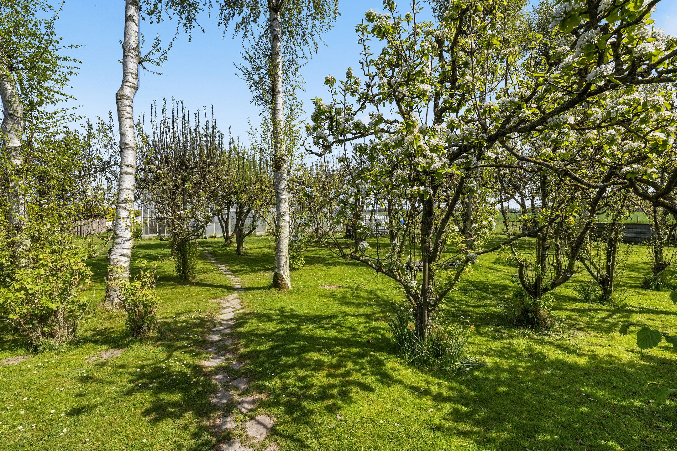 Photo 36 of Kleidijk 3