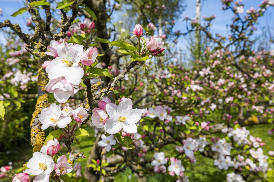 Photo 37 of Kleidijk 3