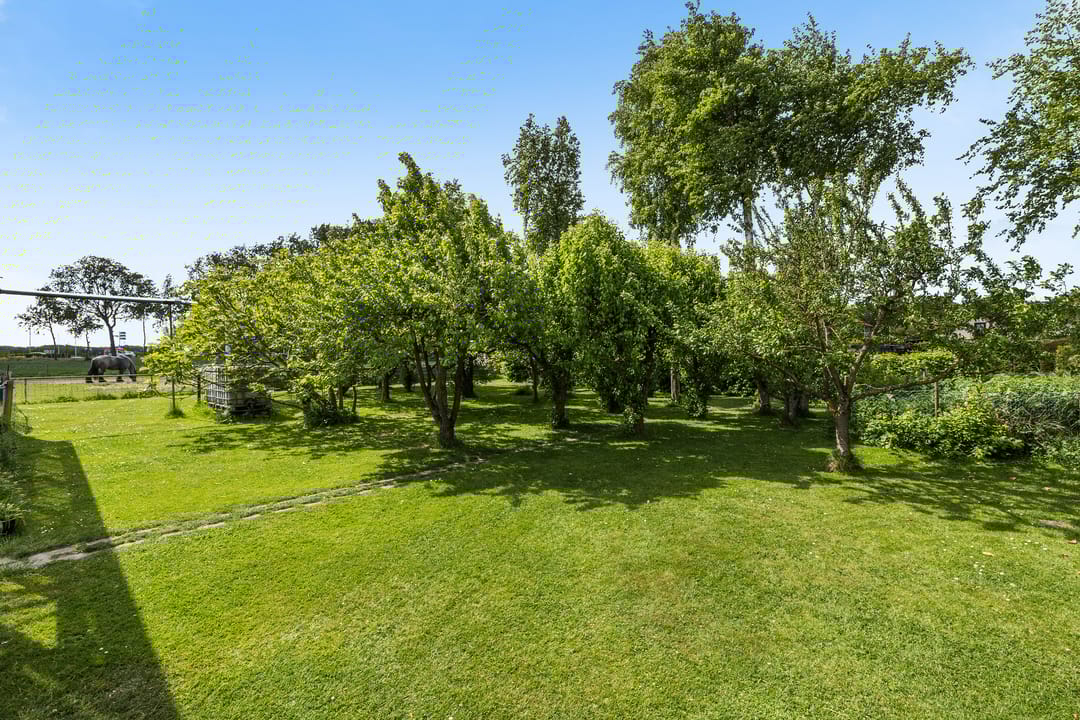 Photo 38 of Kleidijk 3