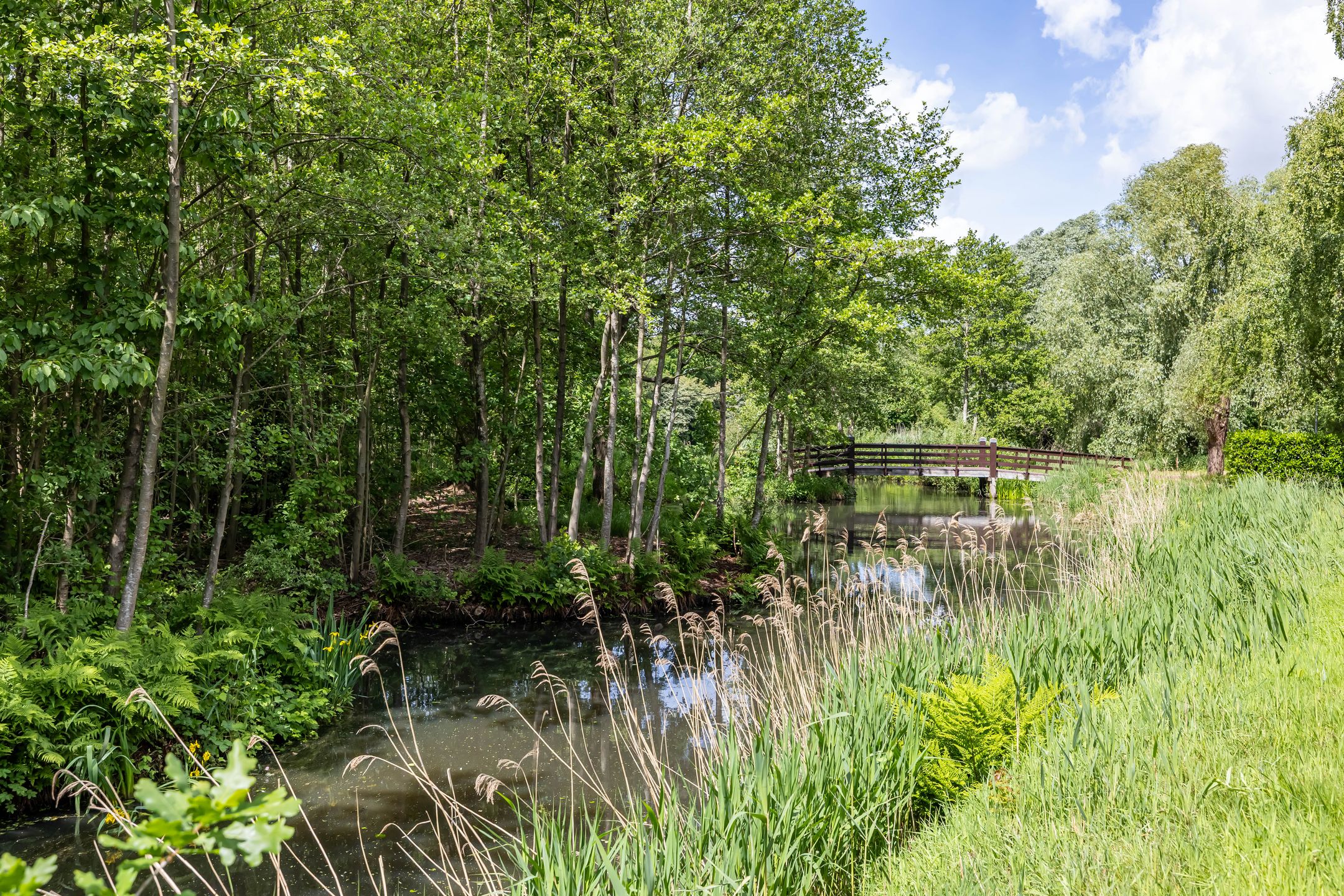 Photo 27 of A. Jacobsstraat 169