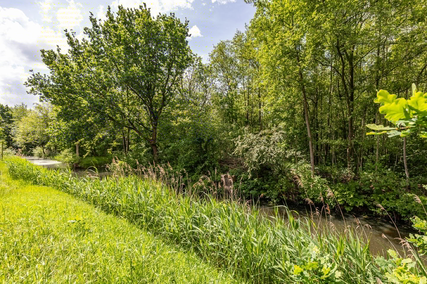 Photo 29 of A. Jacobsstraat 169