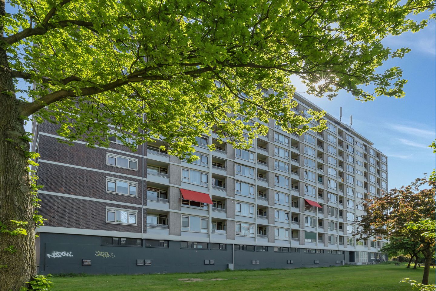 Foto 5 van Vlaardingerdijk 458