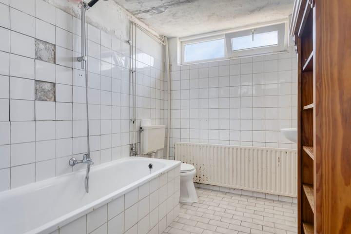 Foto 13 van Kikkerveen 417