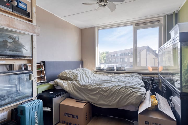 Foto 18 van Kikkerveen 417