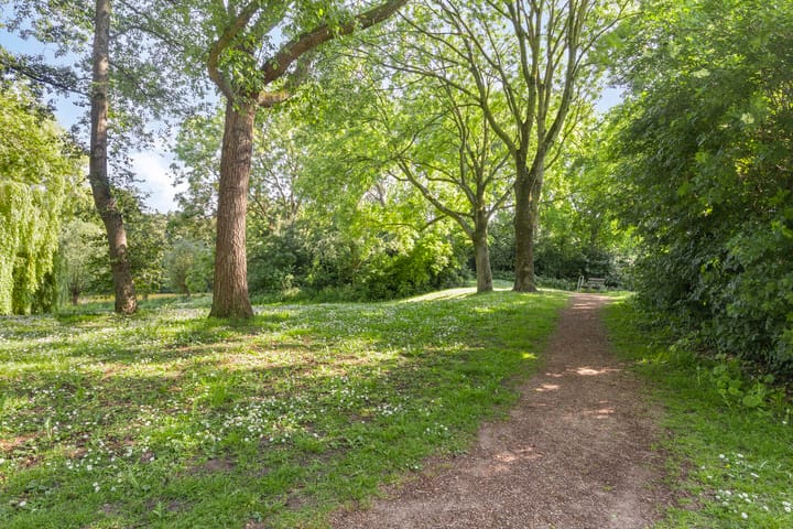 Foto 26 van Kikkerveen 417