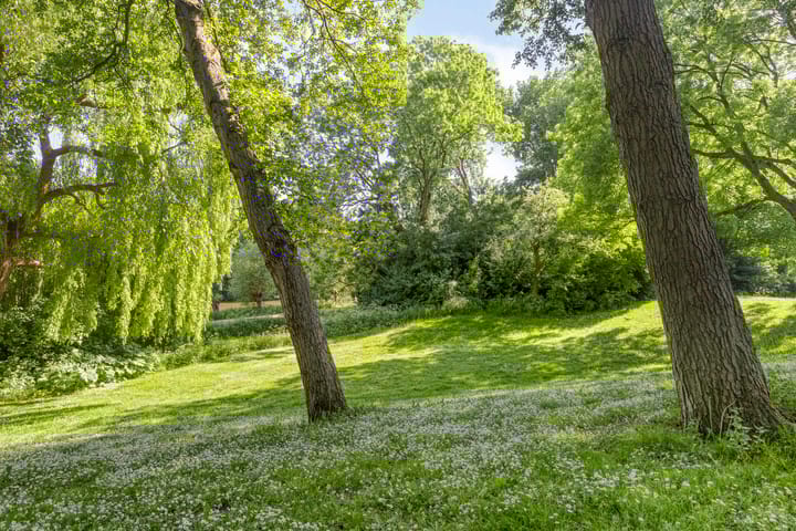 Foto 27 van Kikkerveen 417