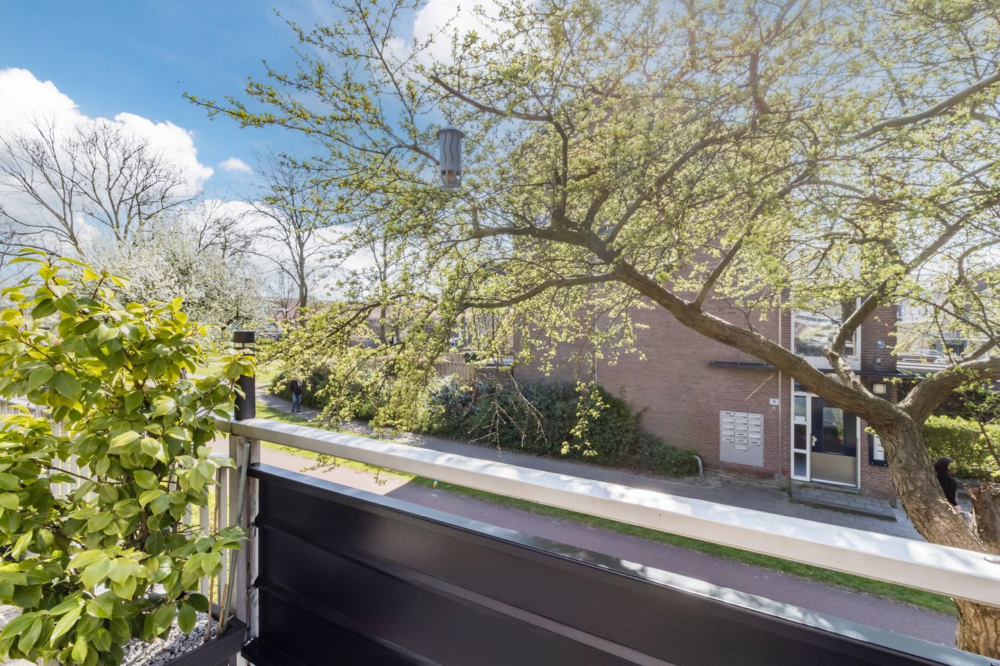 Foto 19 van Schouw 39