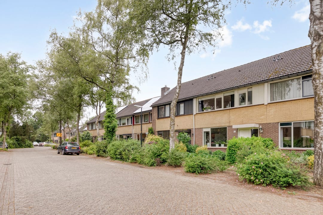 Foto 2 van Salomonszegel 21