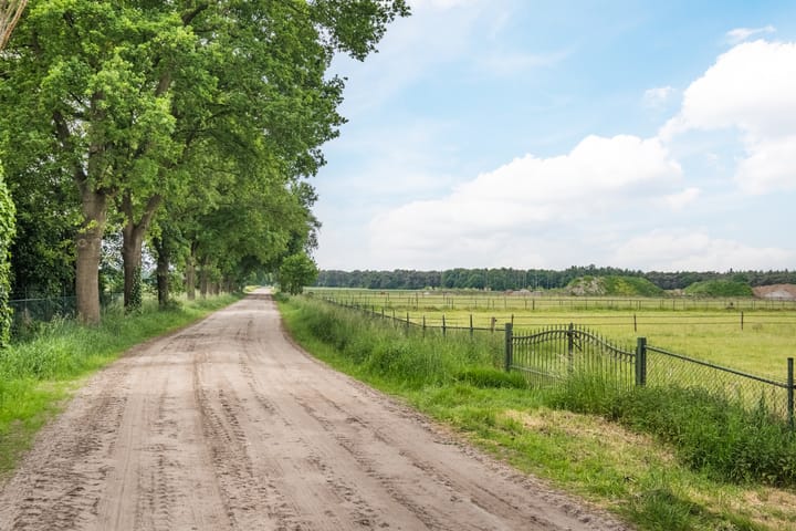 Photo 36 of Hoge Rijt 5