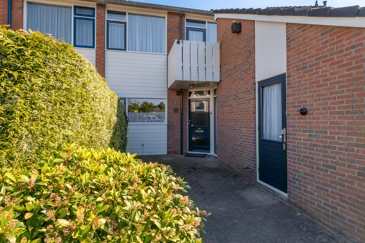 Foto 5 van Mannagras 79