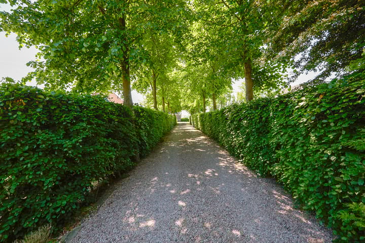 Foto 9 van Noorddijkerweg 45