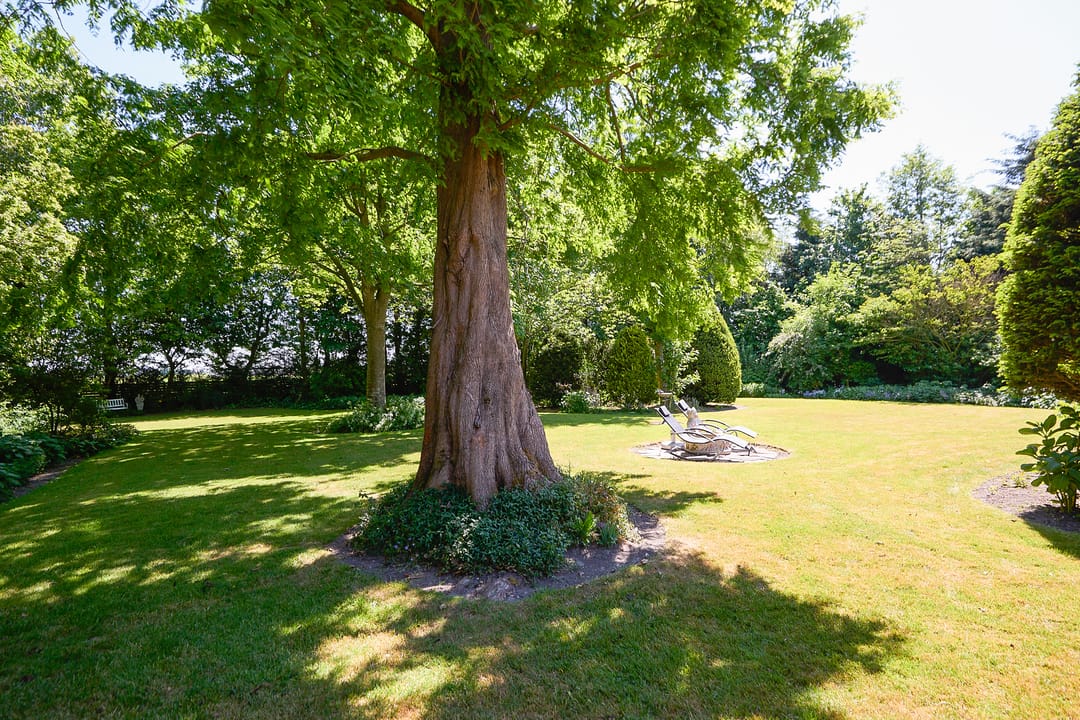 Foto 92 van Noorddijkerweg 45