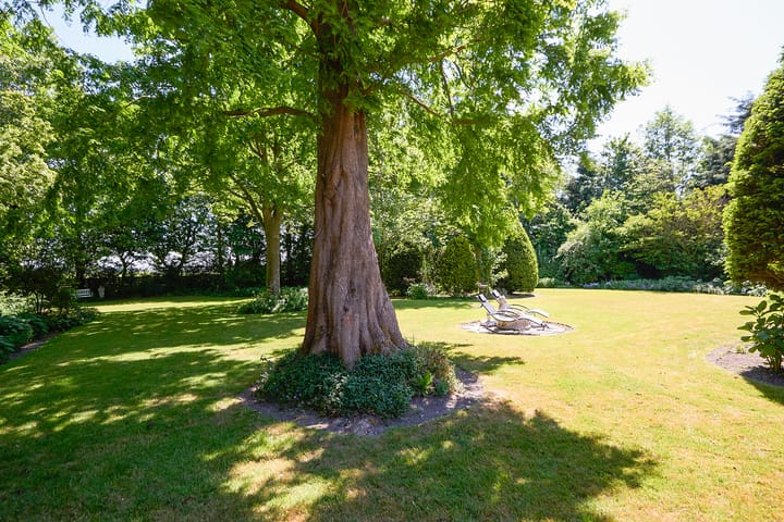 Foto 92 van Noorddijkerweg 45