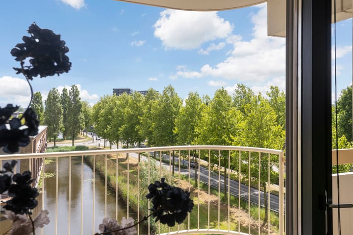 Foto 6 van Zuiderkruis 290