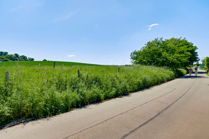 Foto 23 van Veulenerbank 68