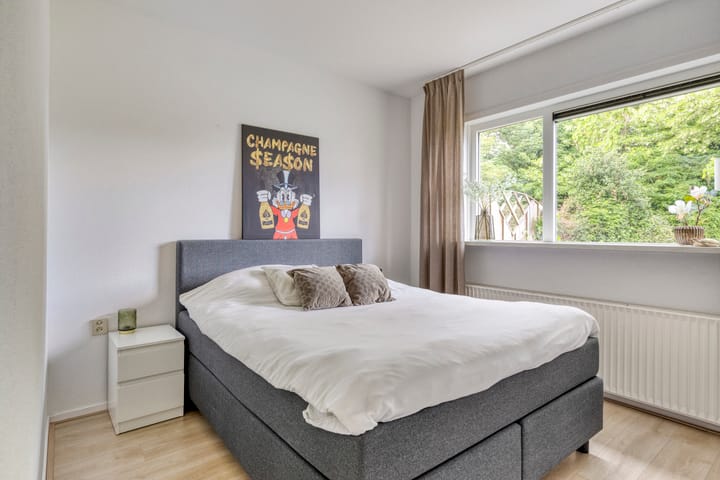 Foto 21 van Laaressingel 37