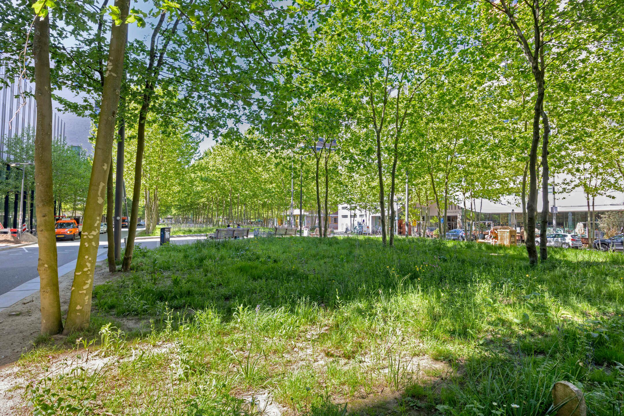 Photo 39 of Torenallee 69-032