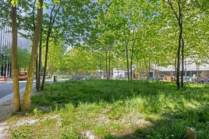 Photo 39 of Torenallee 69-032