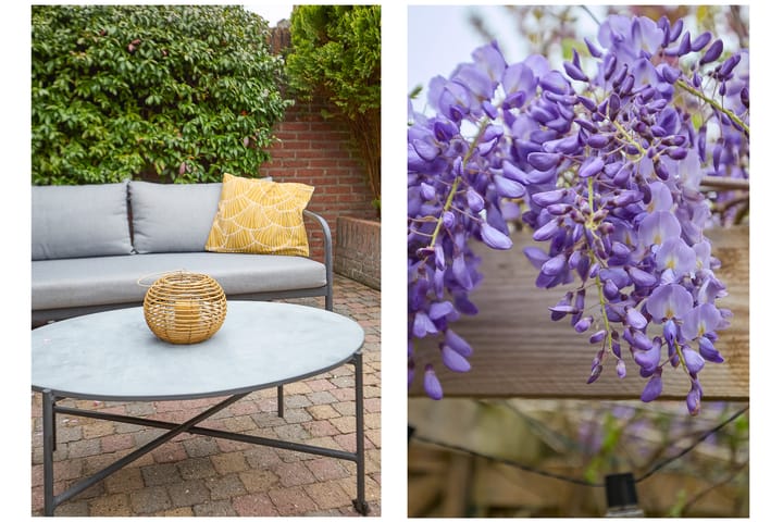 Foto 50 van Robert Kochlaan 73