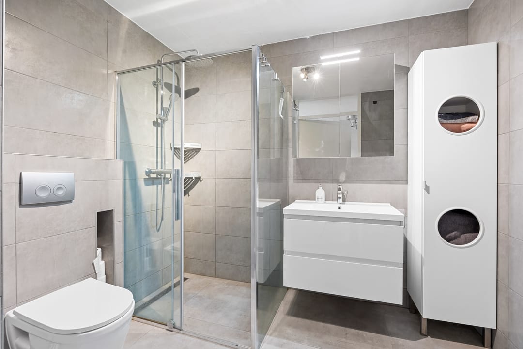 Foto 7 van Goudkarpersingel 8