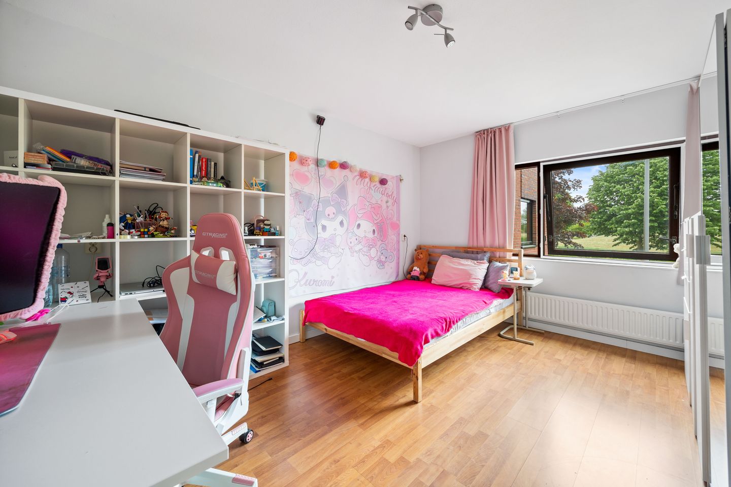 Foto 29 van Goudkarpersingel 8