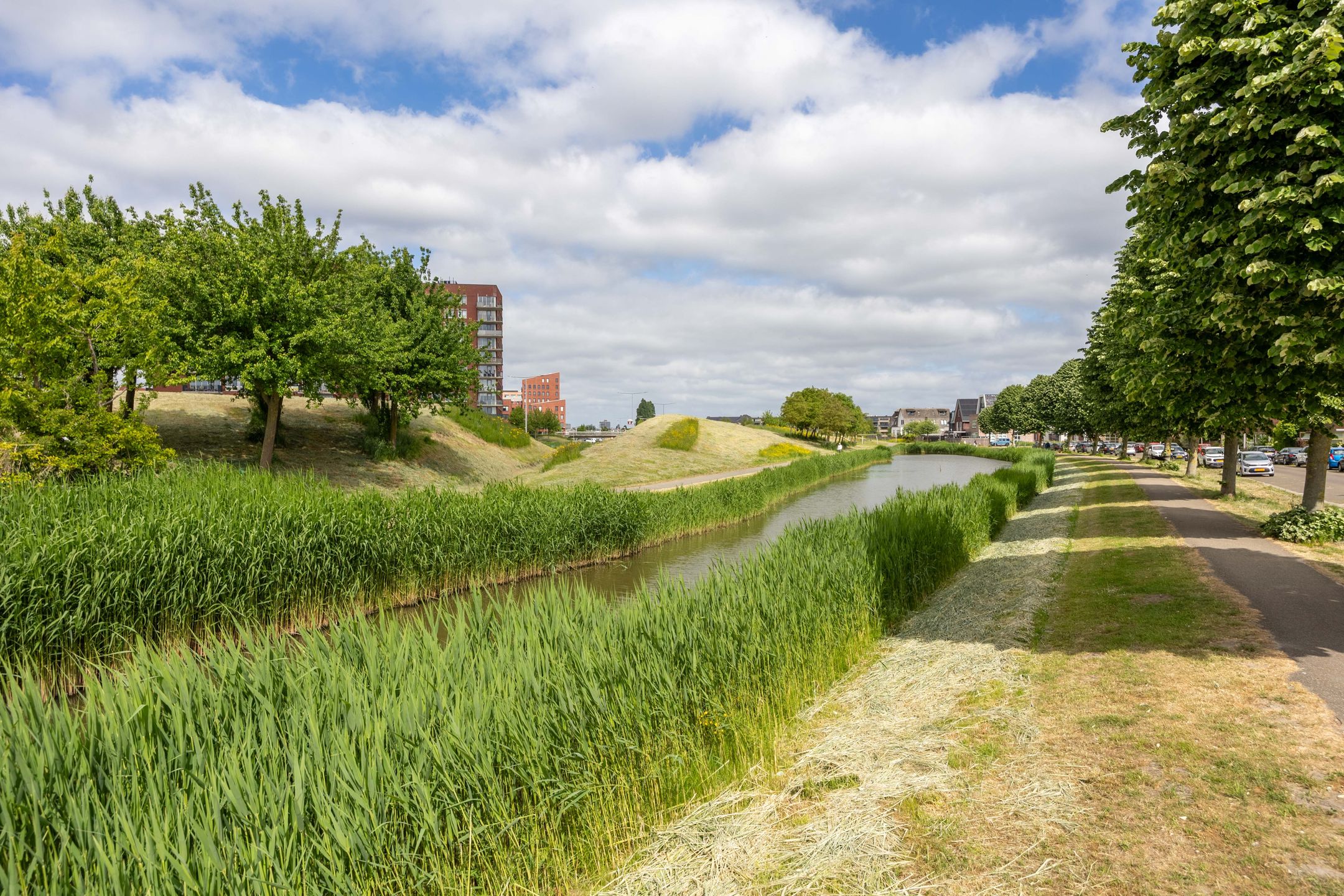 Foto 9 van Goudkarpersingel 8