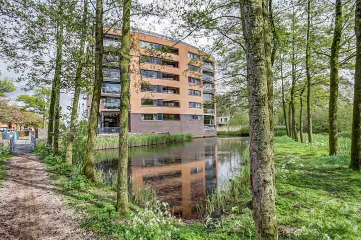 Photo 2 of Akkerviool 89