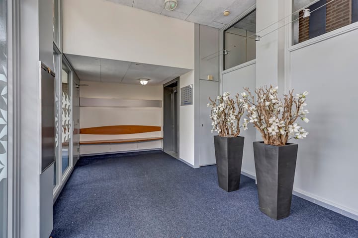 Foto 6 van Akkerviool 89