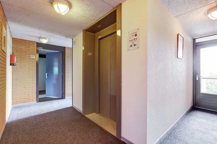 Foto 7 van Akkerviool 89