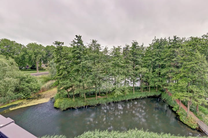 Foto 12 van Akkerviool 89