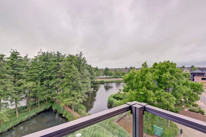 Foto 13 van Akkerviool 89