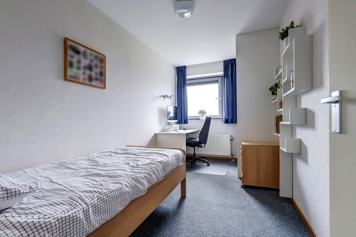 Foto 27 van Akkerviool 89