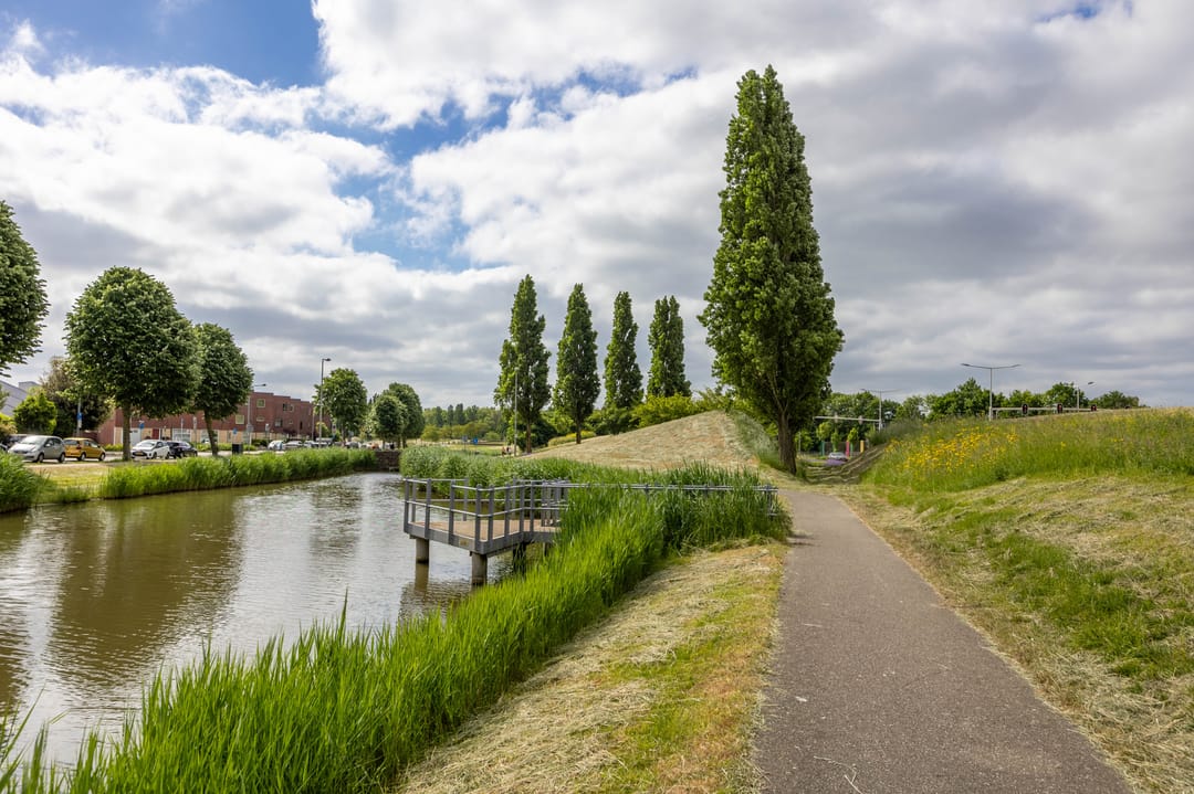 Foto 41 van Goudkarpersingel 8