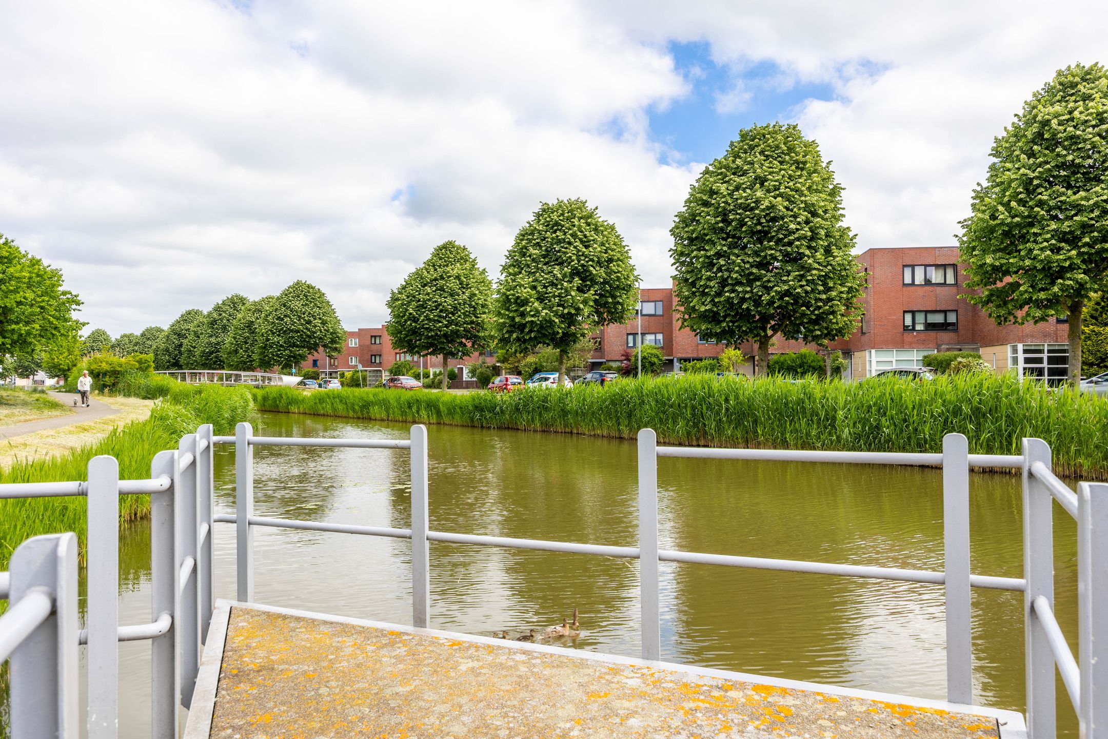 Foto 42 van Goudkarpersingel 8