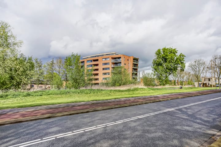 Foto 36 van Akkerviool 89