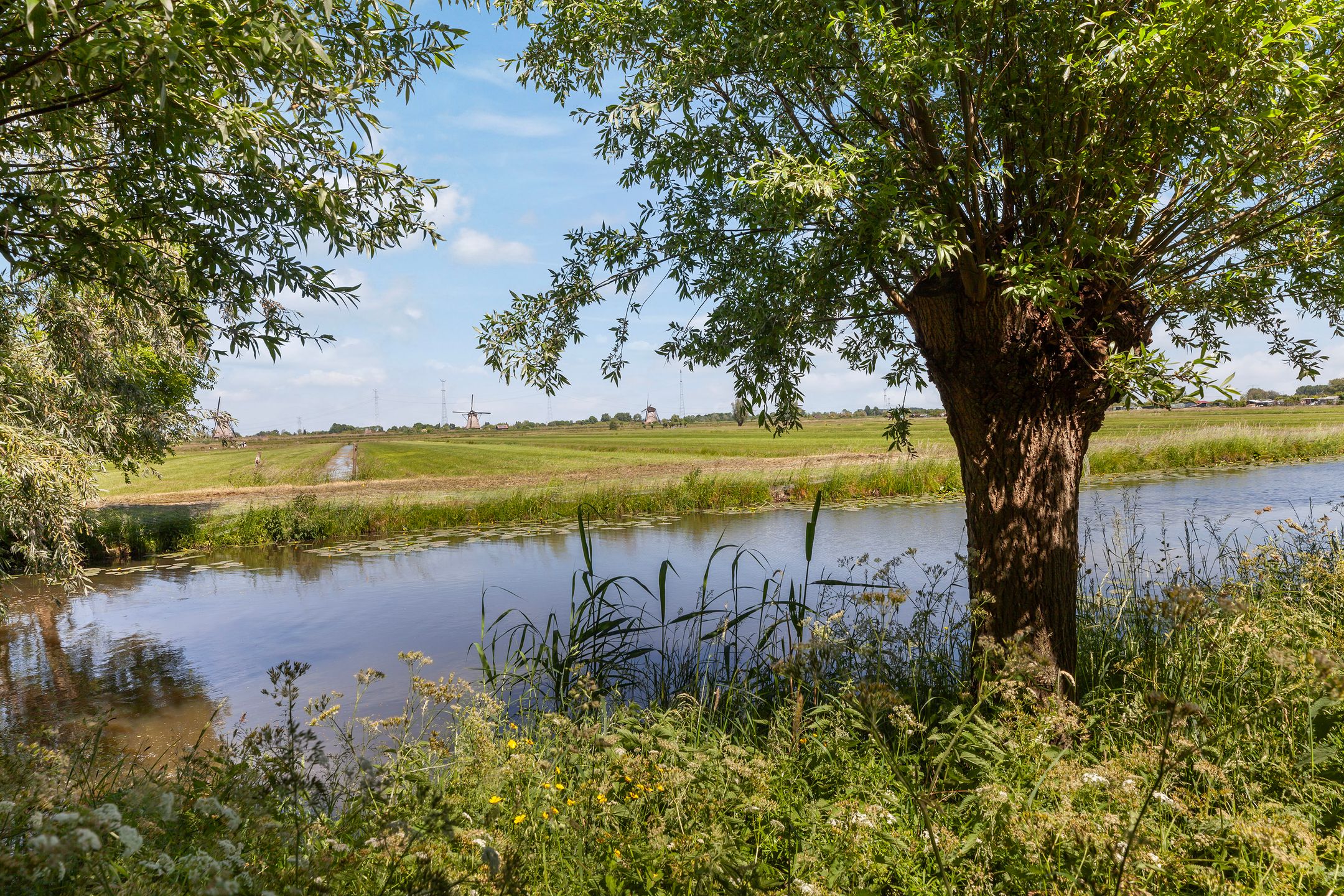 Foto 30 van Roerdompstraat 22