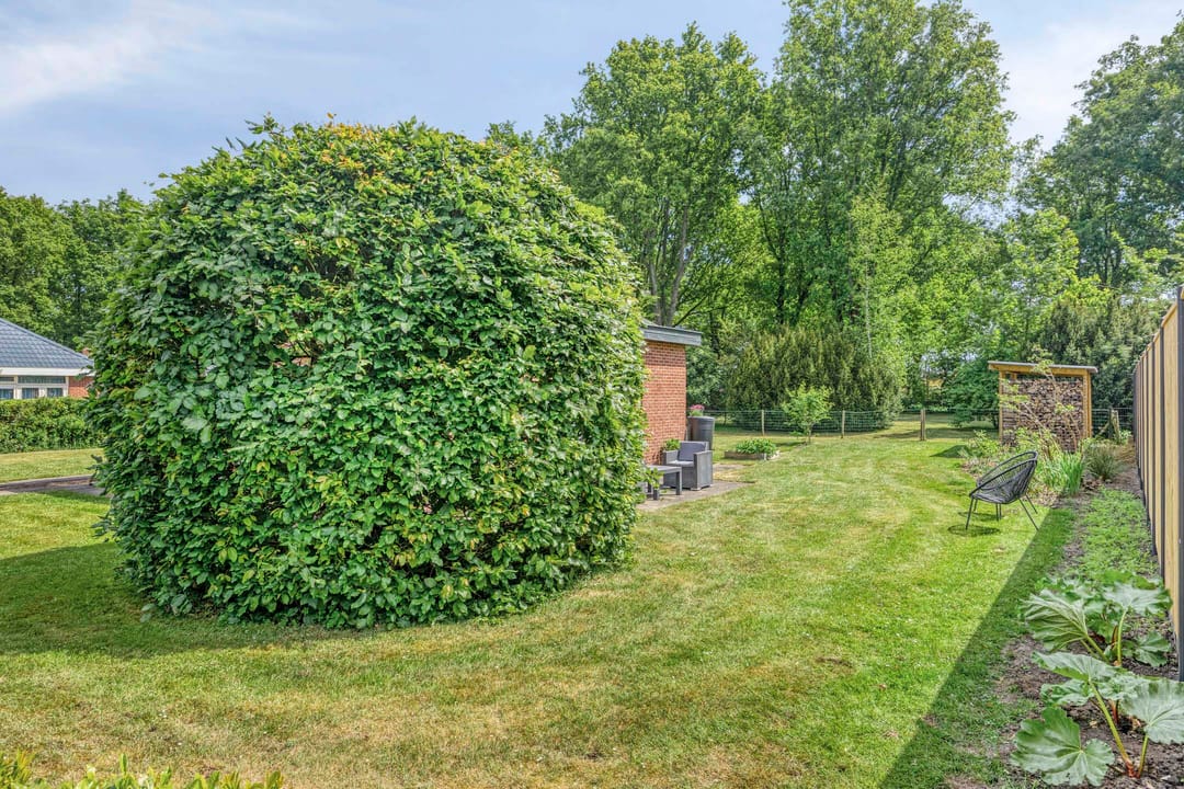 Foto 23 van Nieuwland 8