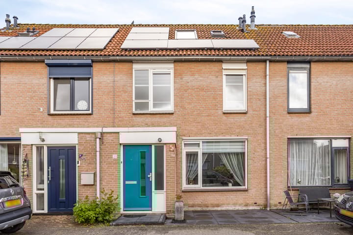 Foto 1 van Pijlkruid 39