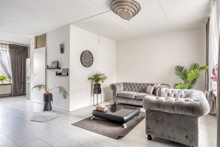 Foto 9 van Pijlkruid 39