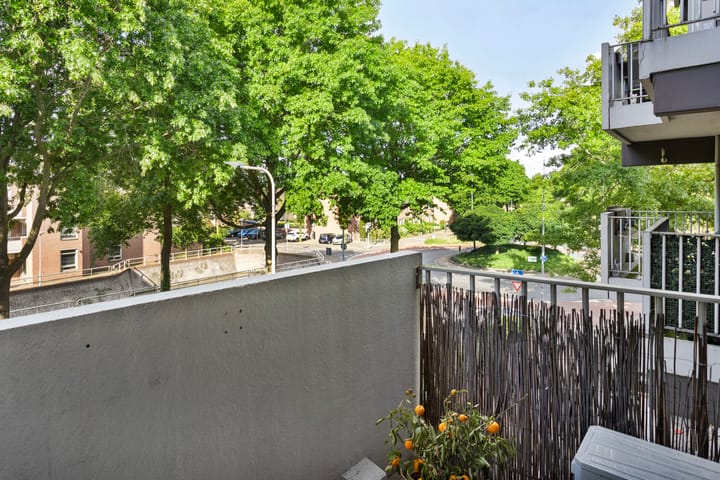 Foto 9 van Maaspoortweg 327