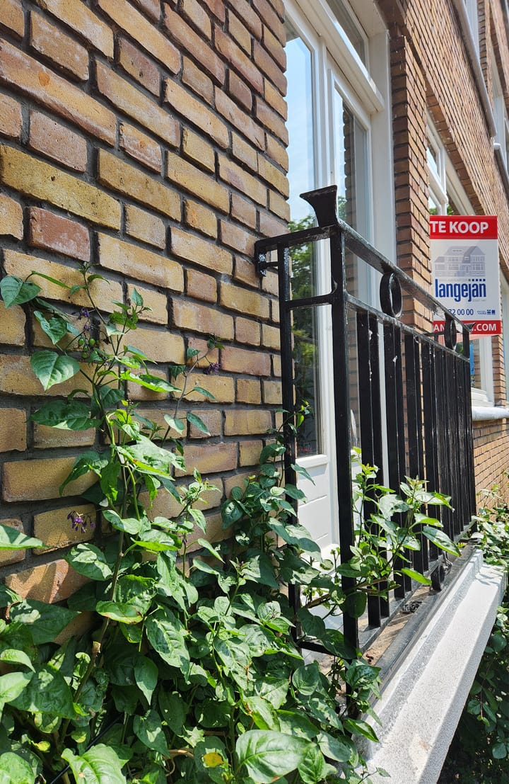 Foto 4 van Hebronstraat 10-C