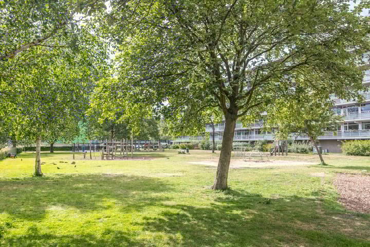 Foto 31 van Koningsvarenstraat 49