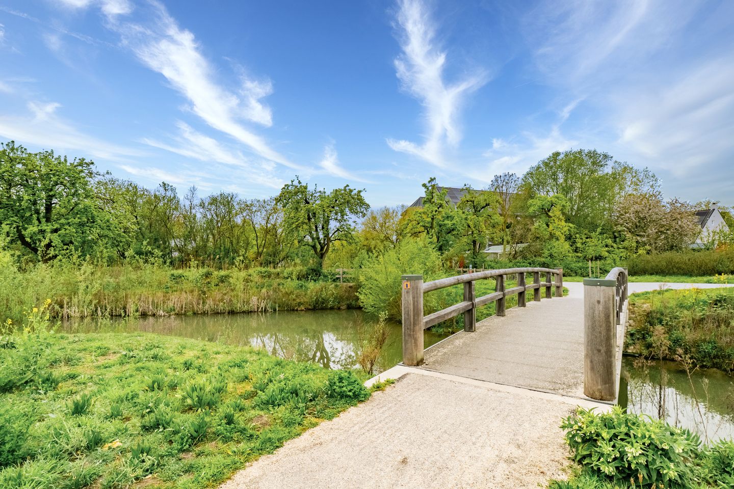 Foto 44 van Voedselbos Rijnvliet 16