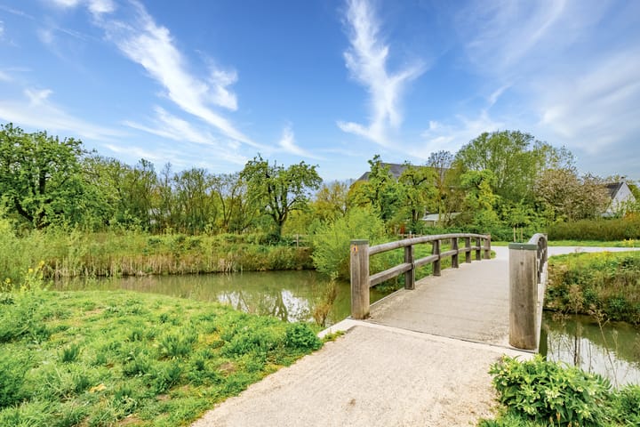 Foto 44 van Voedselbos Rijnvliet 16