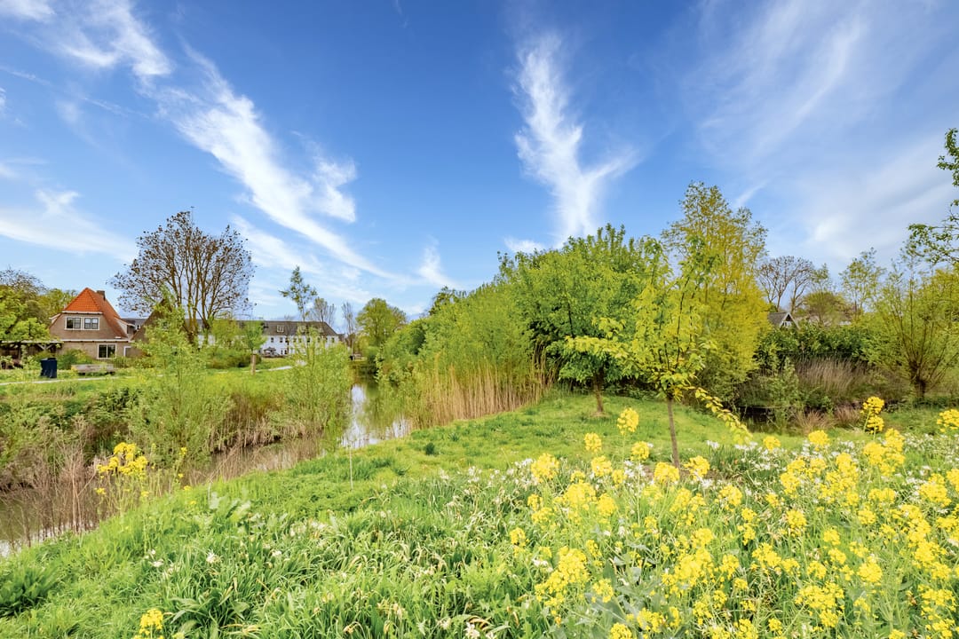 Foto 46 van Voedselbos Rijnvliet 16